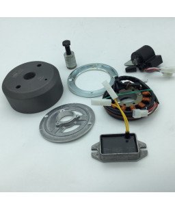 Allumage Electronique Yamaha TY 125-175