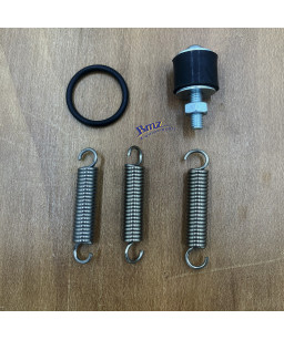 FANTIC 200 GRIB Echappement...