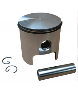 FANTIC piston 300/1/3