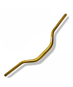 guidon trial